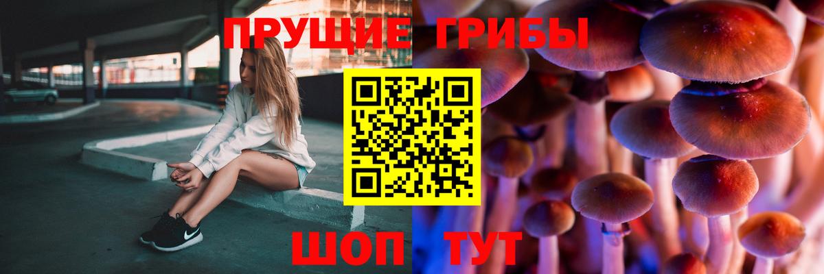 Галлюциногенные грибы GOLDEN TEACHER  Вход с VPN  Псилоцибиновые грибы Cubensis  Губаха 