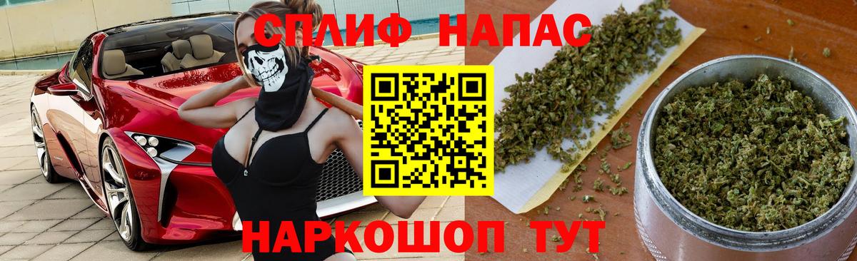 Бошки марихуана сатива Губаха